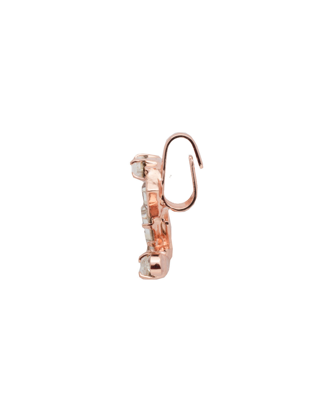 Crystal Charm 'Z' Charm Other Accessory - CES30RGCRY